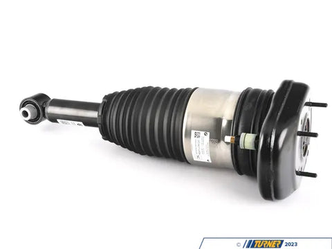 Air Sping/Strut Rear Left