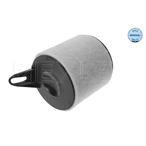 Intake Air Filter