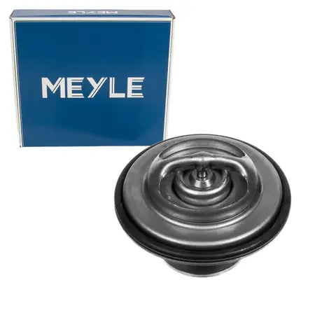 Thermostat (71C)